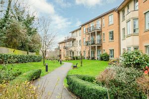 Photo 13- click for photo gallery